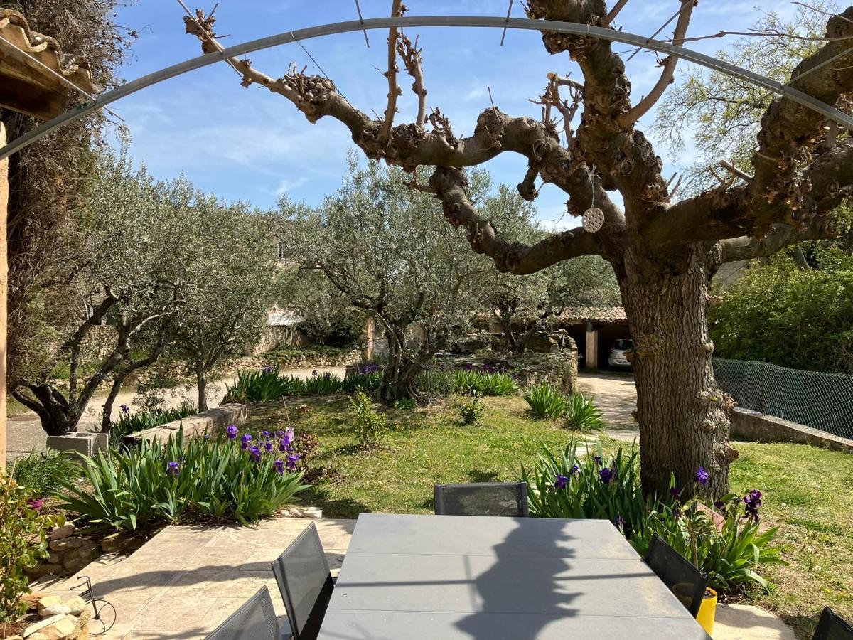 Chambre Avec Petit-Dejeuner En Provence Luberon La Tour-d'Aigues Экстерьер фото